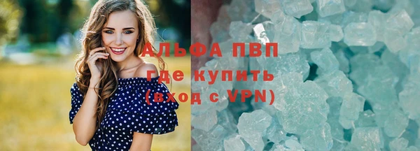 PSILOCYBIN Липки