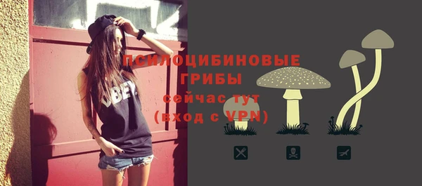ГАЛЛЮЦИНОГЕННЫЕ ГРИБЫ Абаза