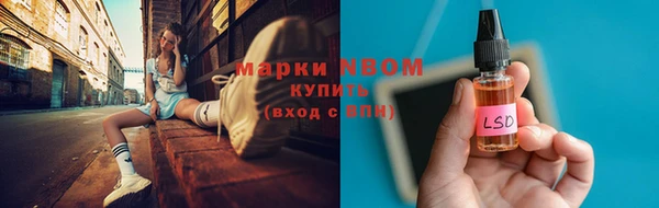 ГАЛЛЮЦИНОГЕННЫЕ ГРИБЫ Абаза