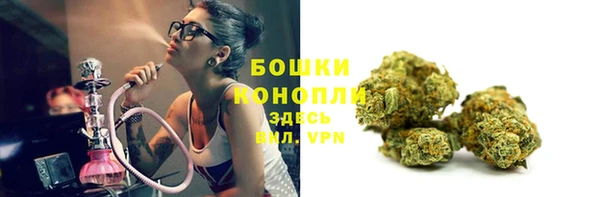 ГАЛЛЮЦИНОГЕННЫЕ ГРИБЫ Абаза