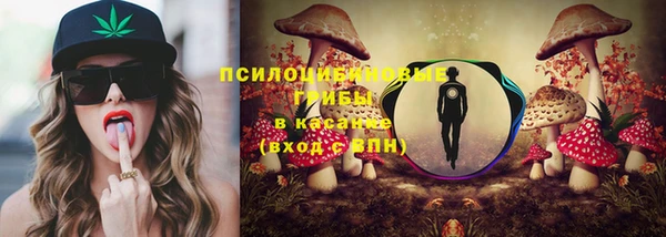 гидра Лагань