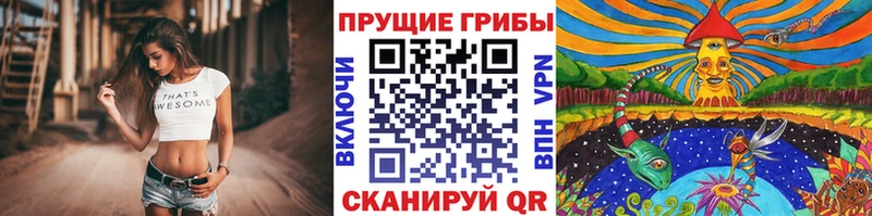 Псилоцибиновые грибы Magic Shrooms  Южноуральск 